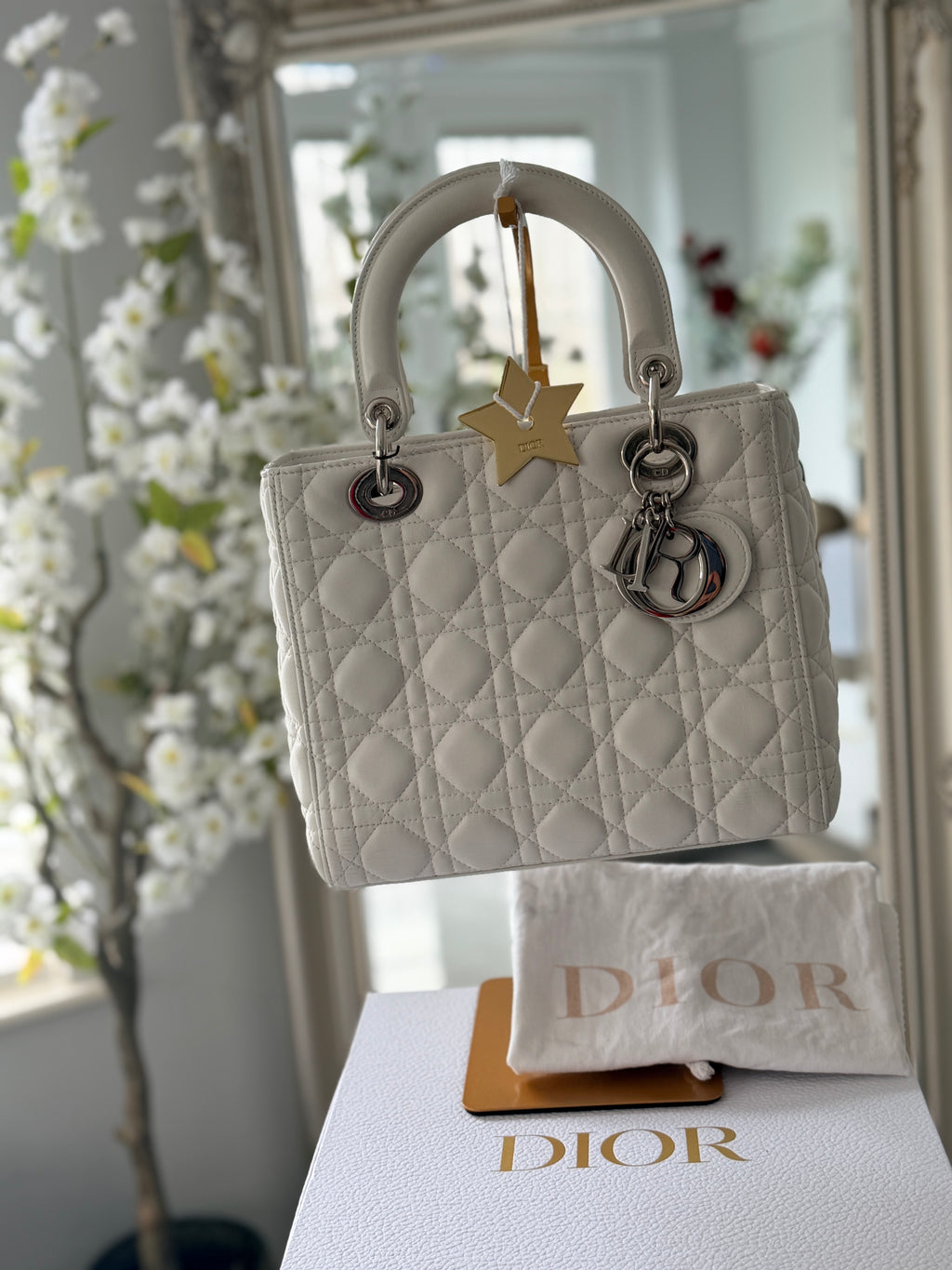 Christian Dior Lady Dior Medium Handbag White Cannage Leather Silver Hardware