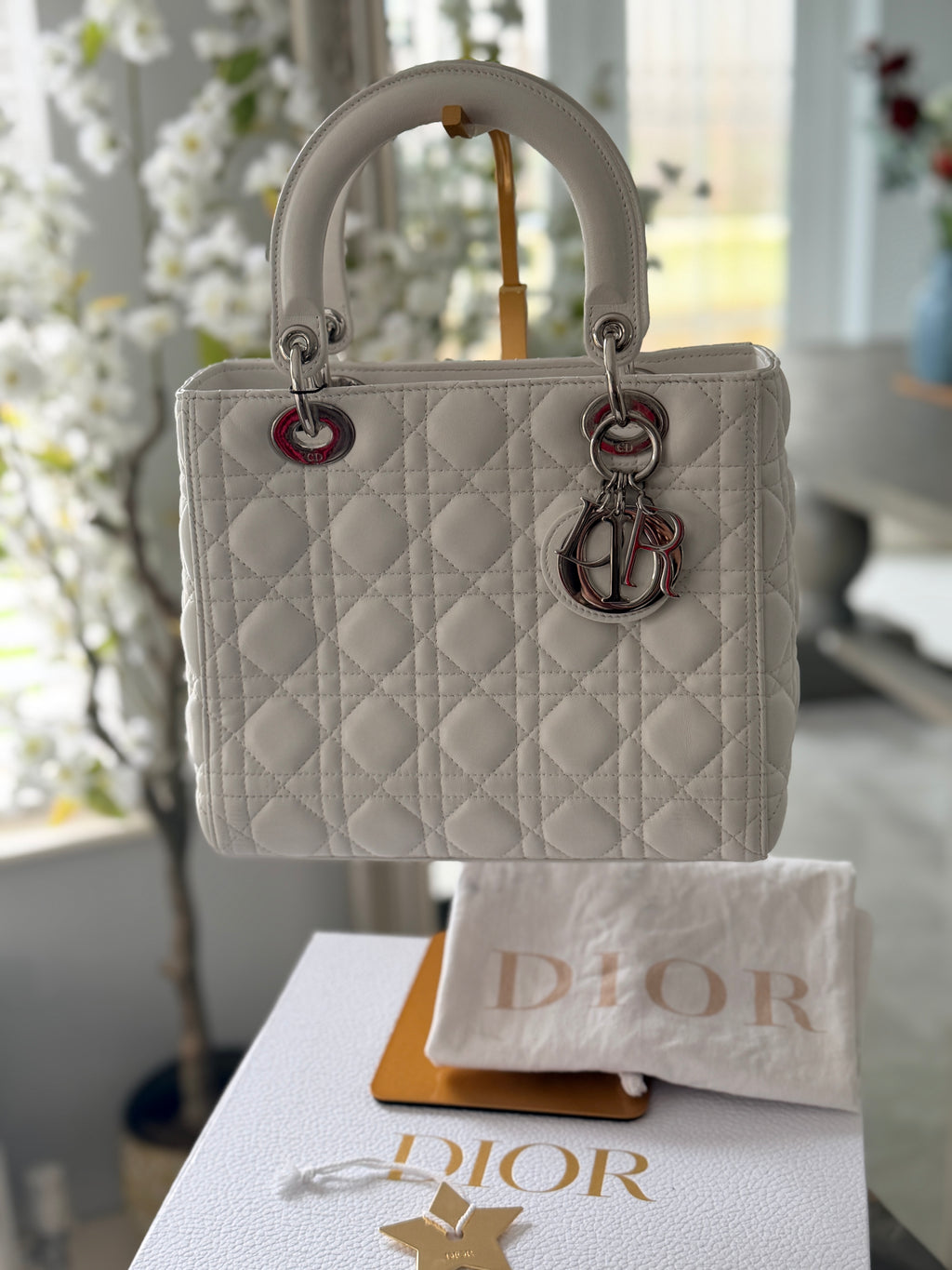Christian Dior Lady Dior Medium Handbag White Cannage Leather Silver Hardware