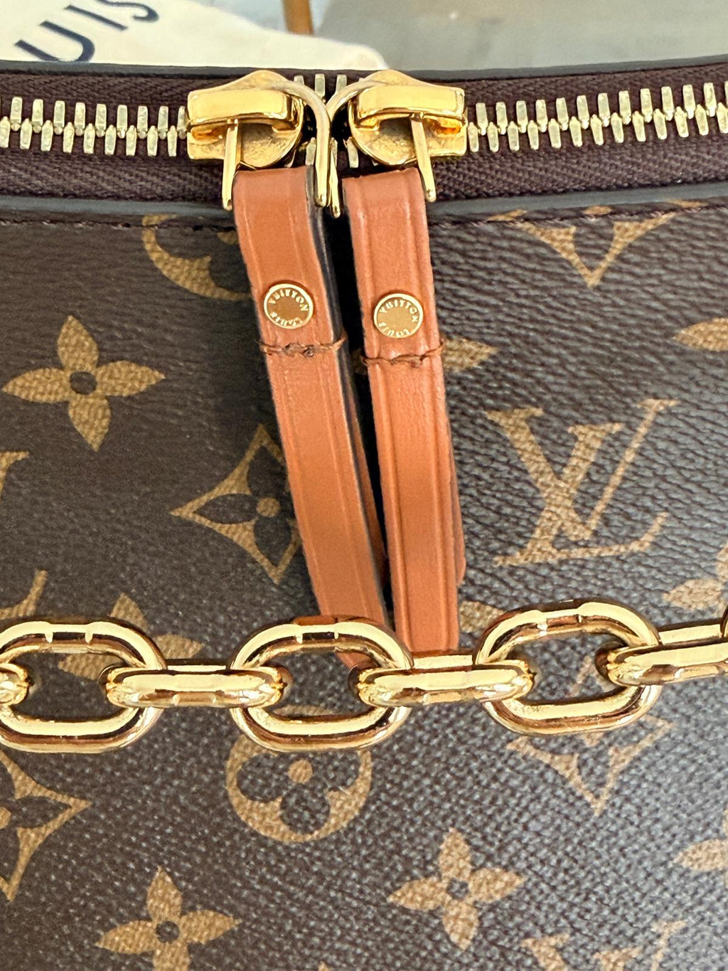 Louis Vuitton Loop Hobo Bag Monogram & Monogram Reverse with Gold Hardware