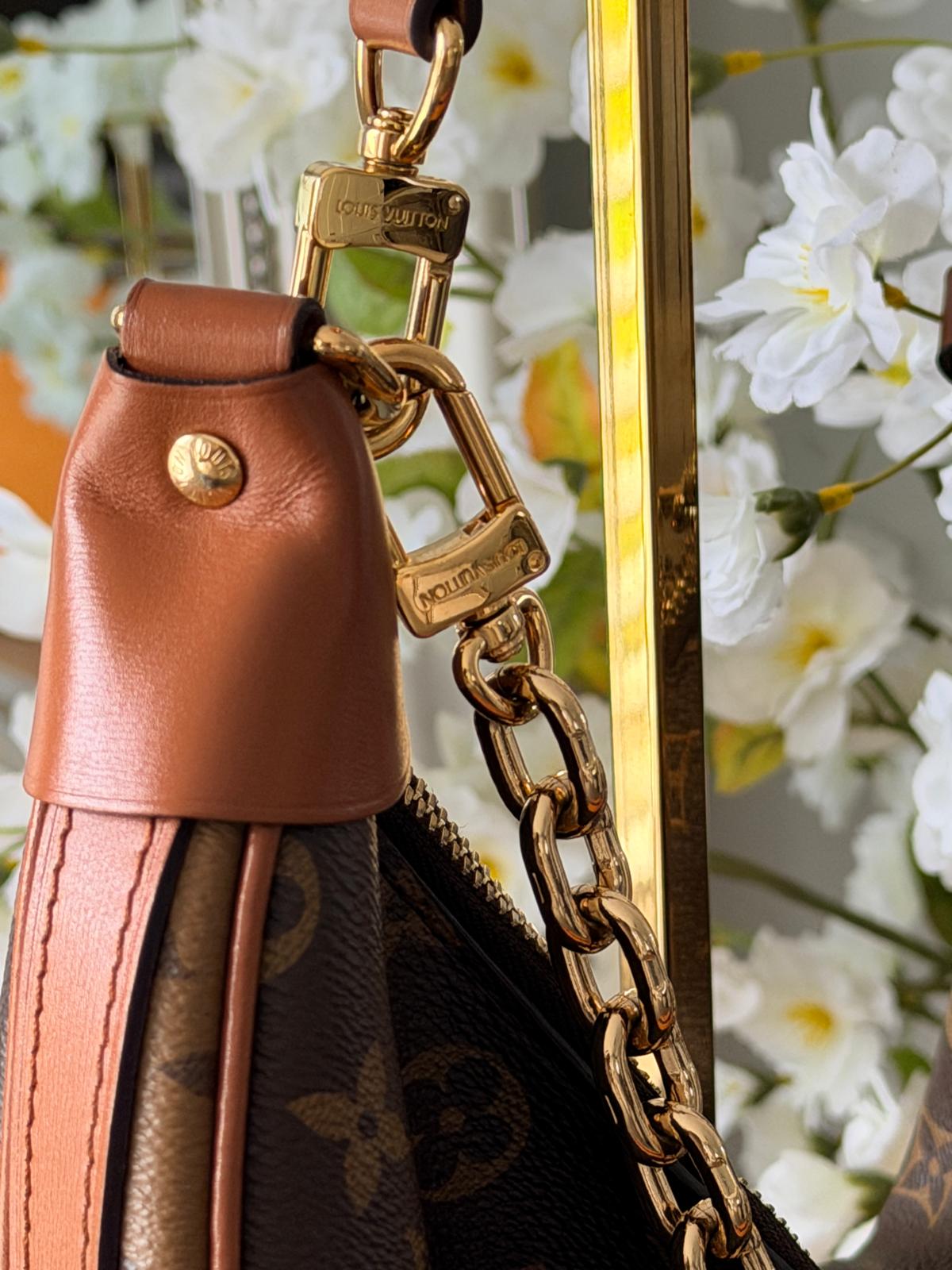 Louis Vuitton Loop Hobo Bag Monogram & Monogram Reverse with Gold Hardware