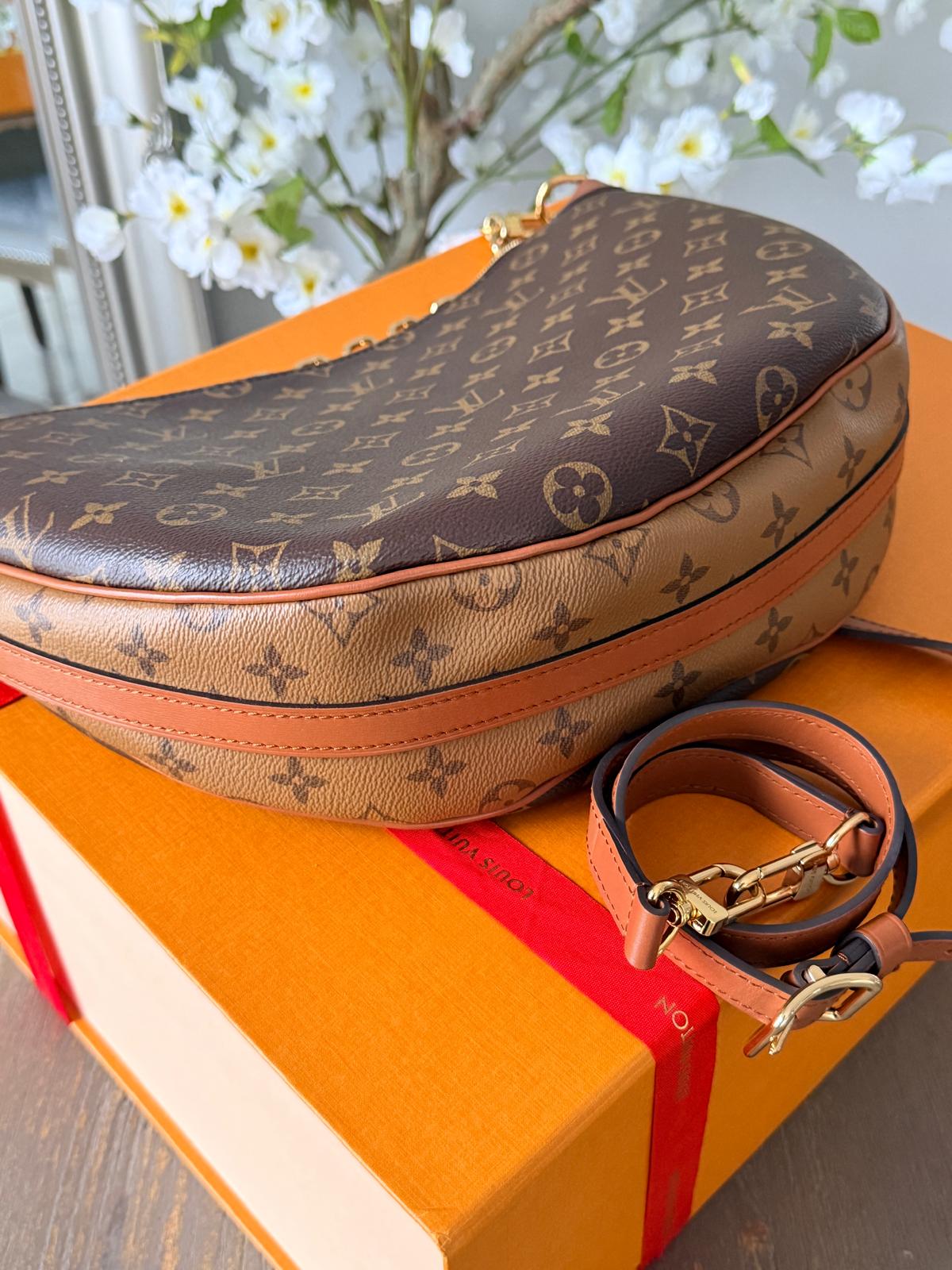 Louis Vuitton Loop Hobo Bag Monogram & Monogram Reverse with Gold Hardware