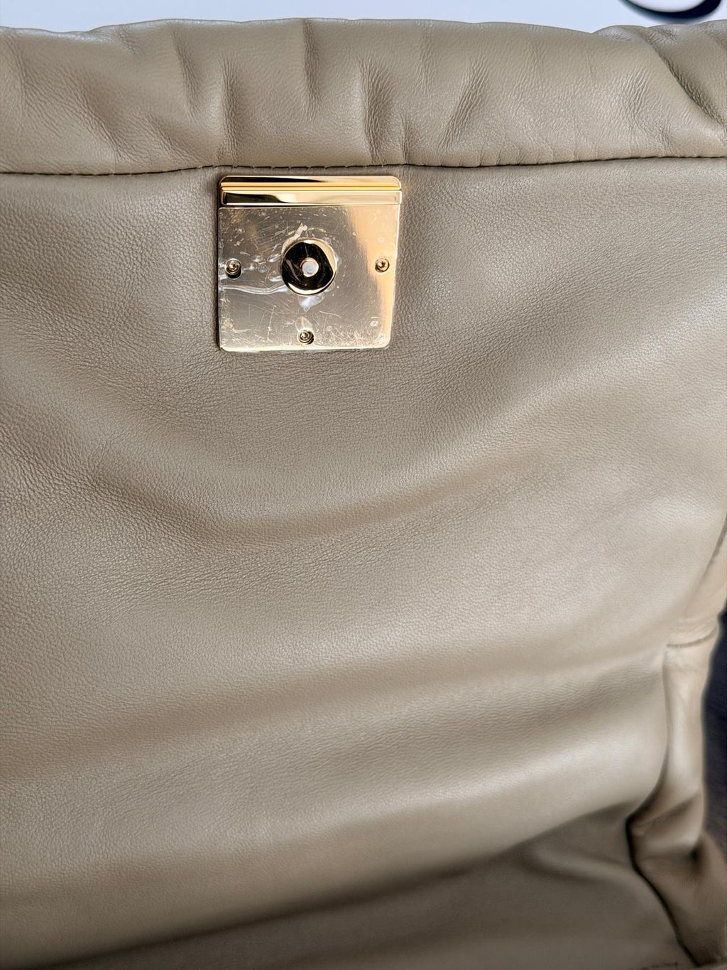 Loewe Goya Puffer Bag Clay Green Leather and Gold Hardware